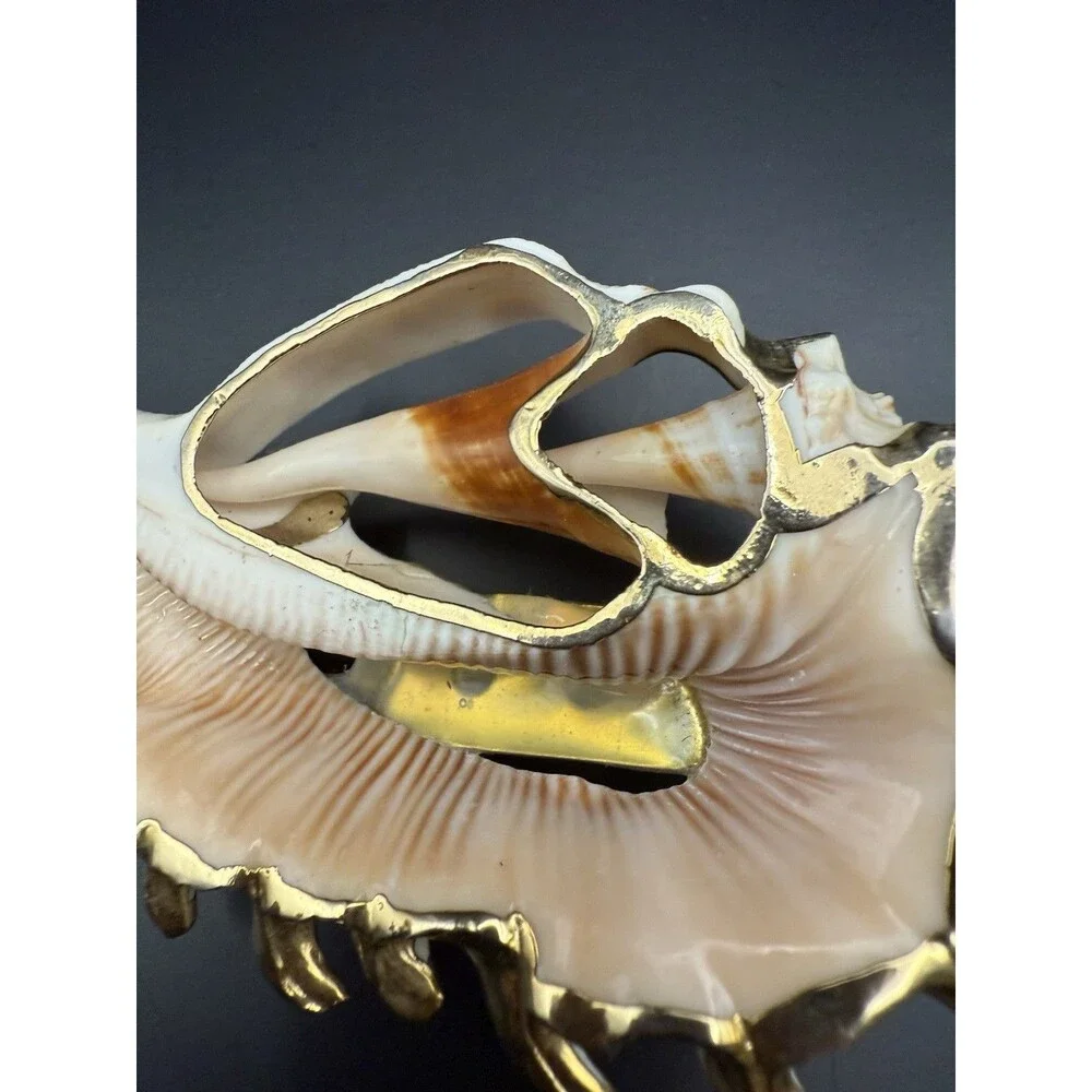 women belt buckle , Cronch. Ocean And Shell Theme. Accessory To Beautify A Belt.